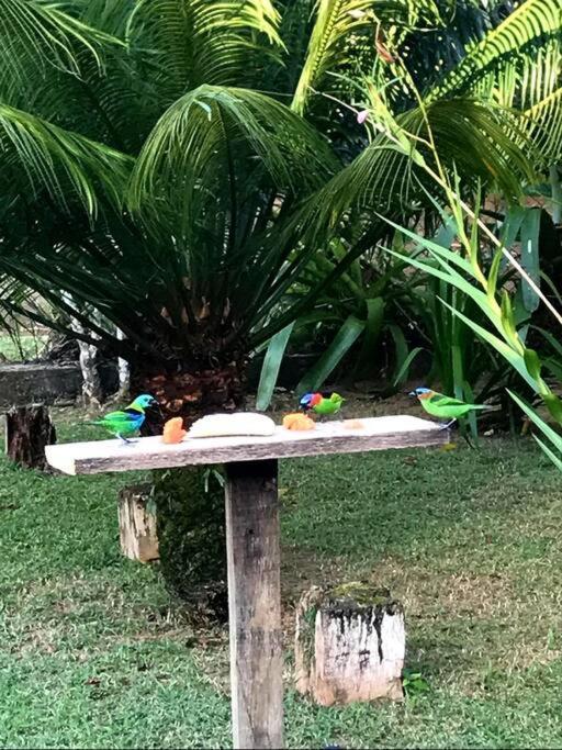 Itamambuca A Beira Mar Com Piscina Villa Ubatuba Kültér fotó